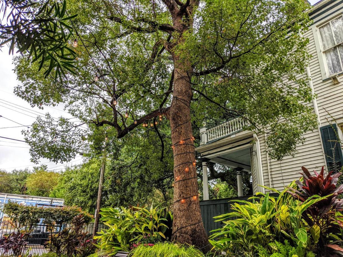 Parisian Courtyard Inn New Orleans Bagian luar foto